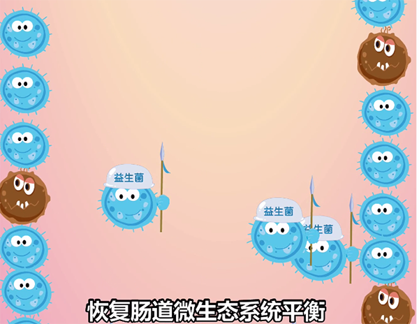 益生菌服用多久才有效呢?